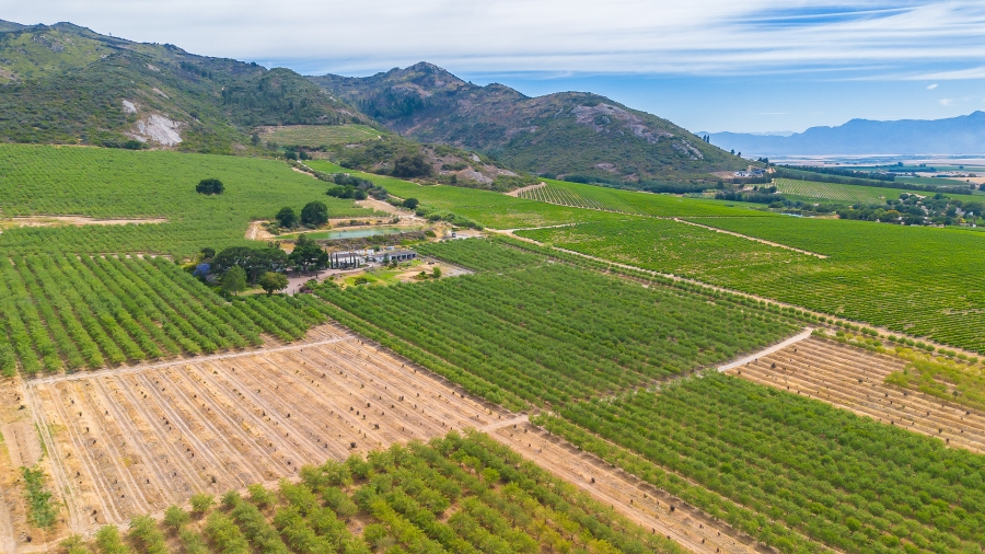 4 Bedroom Property for Sale in Paarl Rural Western Cape